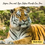 jaipur tour and private safari car tour